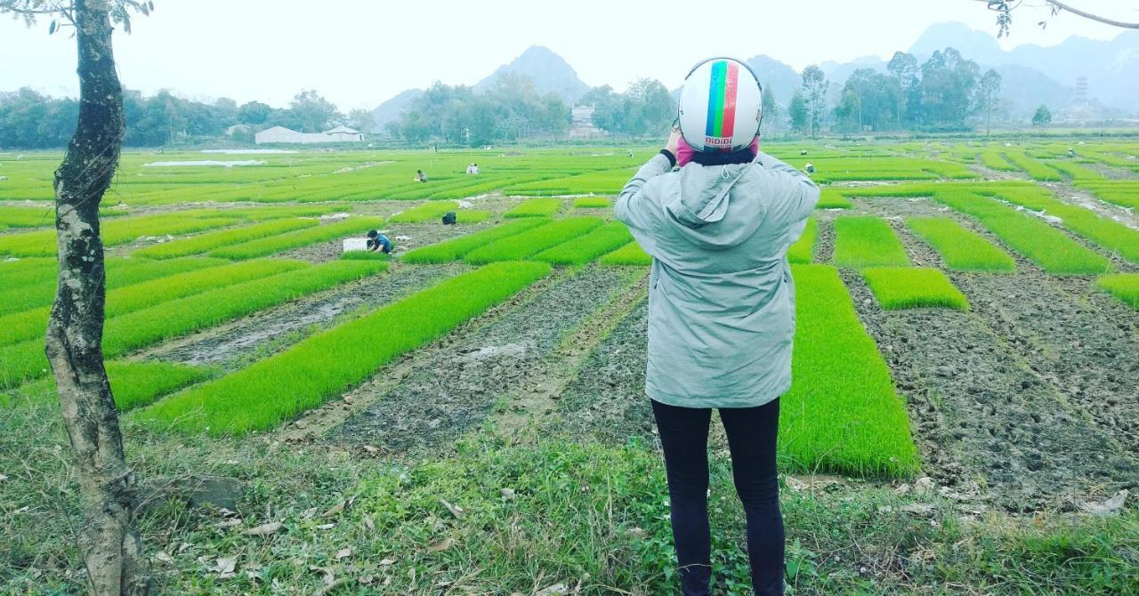 Sunny Trang An homestay Ninh Binh Bagian luar foto
