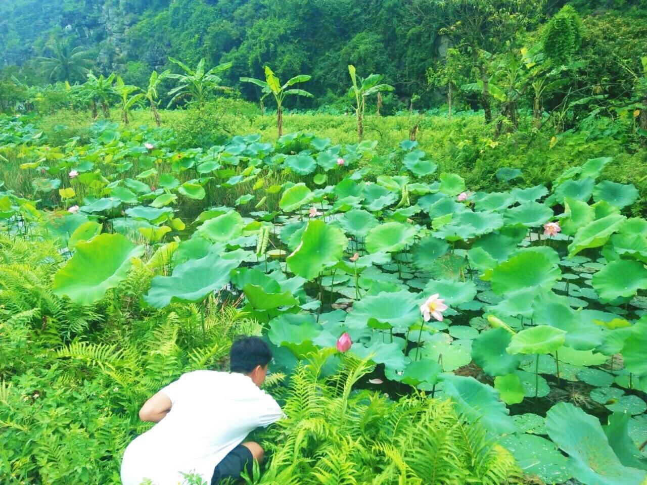 Sunny Trang An homestay Ninh Binh Bagian luar foto