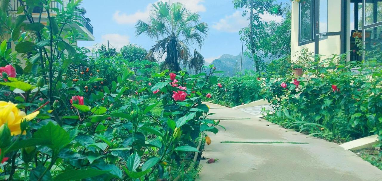 Sunny Trang An homestay Ninh Binh Bagian luar foto